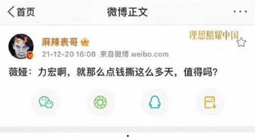 娱乐吃瓜酱算卦百度云网盘